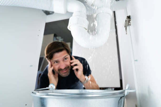 Best Toilet Repair Services  in Halsey, OR