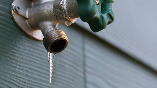 Best Plumbing Inspection Services  in Halsey, OR